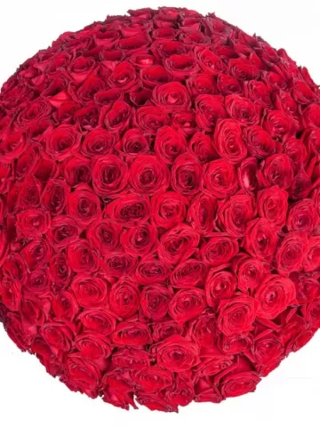 201 роза «Шикарный презент» от интернет-магазина цветов в 