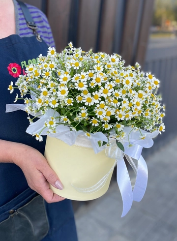 Композиция в шляпной коробке &laquo;С ромашками&raquo; от интернет-магазина цветов в 