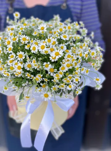 Композиция в шляпной коробке &laquo;С ромашками&raquo; от интернет-магазина цветов в 