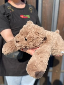 Медведь бурый лежит 60 см от интернет-магазина «» в 