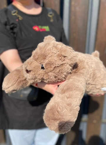 Медведь бурый лежит 60 см от интернет-магазина цветов в 