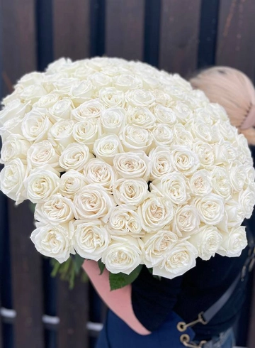 101 пионовидная роза Плайя Бланка от интернет-магазина цветов в 