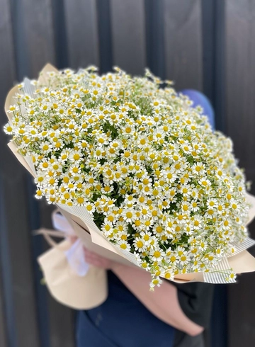 Монобукет «Поле ромашек» от интернет-магазина цветов в 