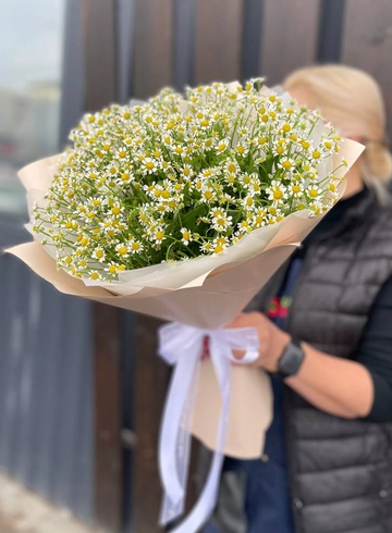Монобукет «Ромашковый луг» от интернет-магазина цветов в 